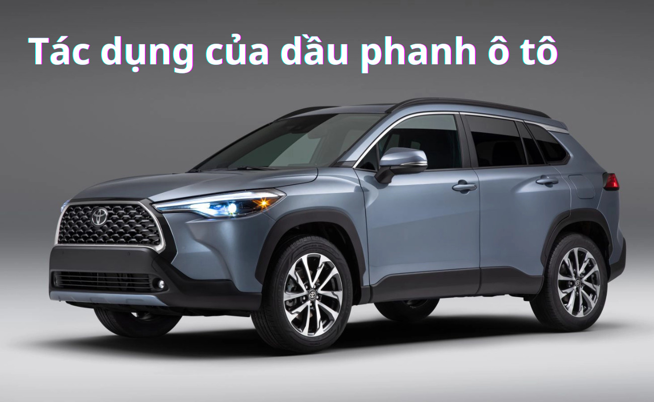 Dầu phanh ô tô bao lâu phải thay? Cách kiểm tra, phân loại và giá bán