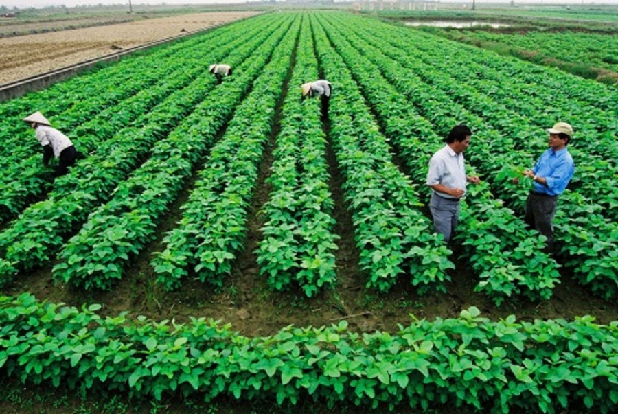 Đặc điểm khí hậu Đông Nam Bộ? Vị trí địa lý và điều kiện tự nhiên của Đông Nam Bộ