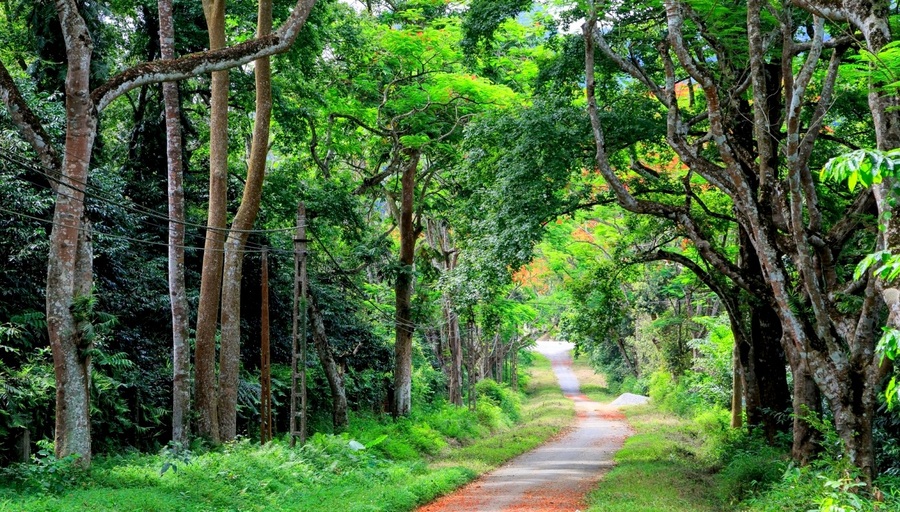 Đặc điểm khí hậu Đông Nam Bộ? Vị trí địa lý và điều kiện tự nhiên của Đông Nam Bộ