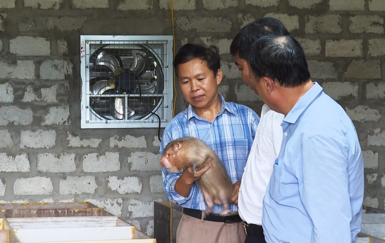 Hà Tĩnh: Phát triển kinh tế gia trại nhờ nuôi Dúi - Chăn nuôi Việt Nam