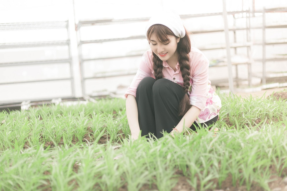 Hot girl 9x xinh đẹp kinh doanh dịch vụ rau sạch với dự án tiền tỷ - 2