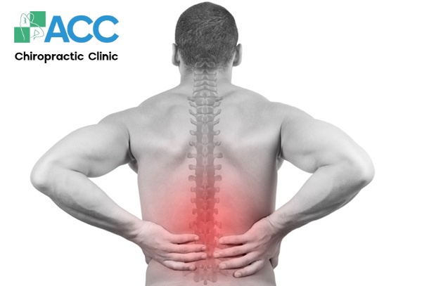 nguyên nhân đau nhức bả vai