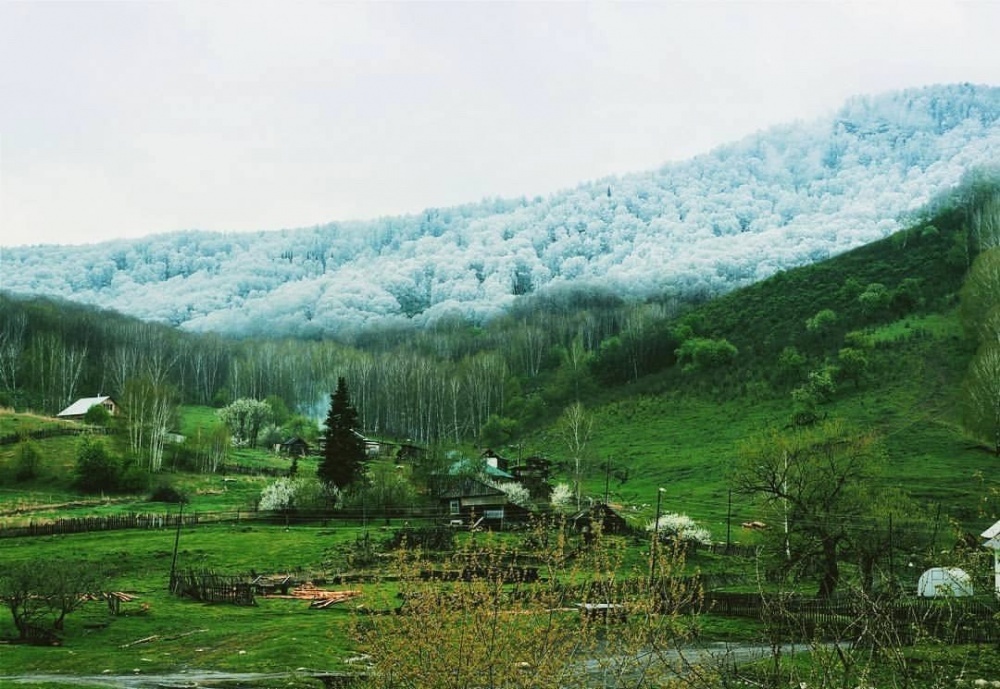 26 hinh anh dep den nghet tho du khong chinh sua Photoshop 10