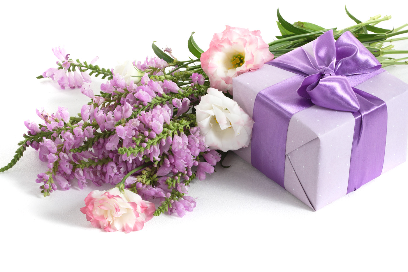 ảnh chúc mừng sinh nhật độc