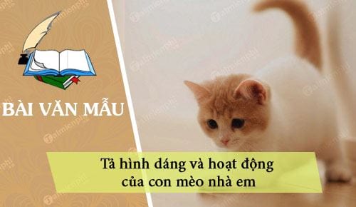 Tả hình dáng và hoạt động của con mèo nhà em hay nhất của học sinh giỏi