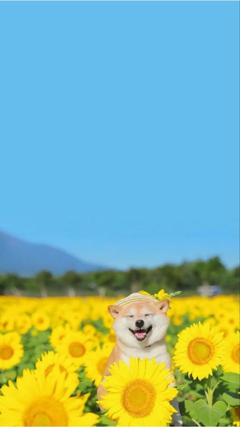 hình nền chill