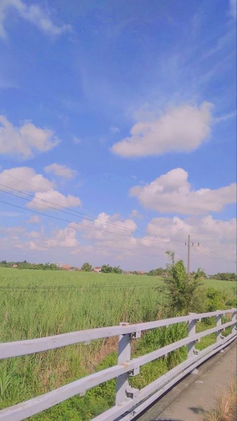 hình nền chill