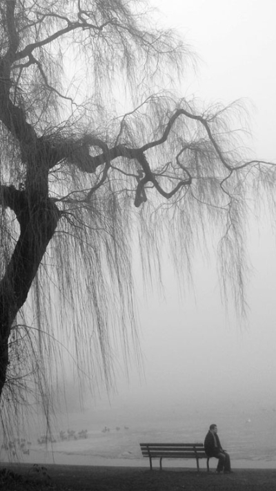 Hình trắng