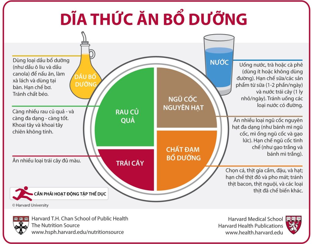 Dĩa Thức Ăn Bổ Dưỡng (Vietnamese)