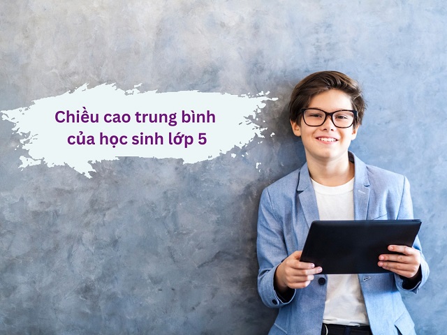 Chiều cao trung bình của học sinh lớp 5?