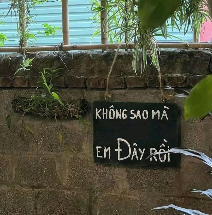 Meme không sao