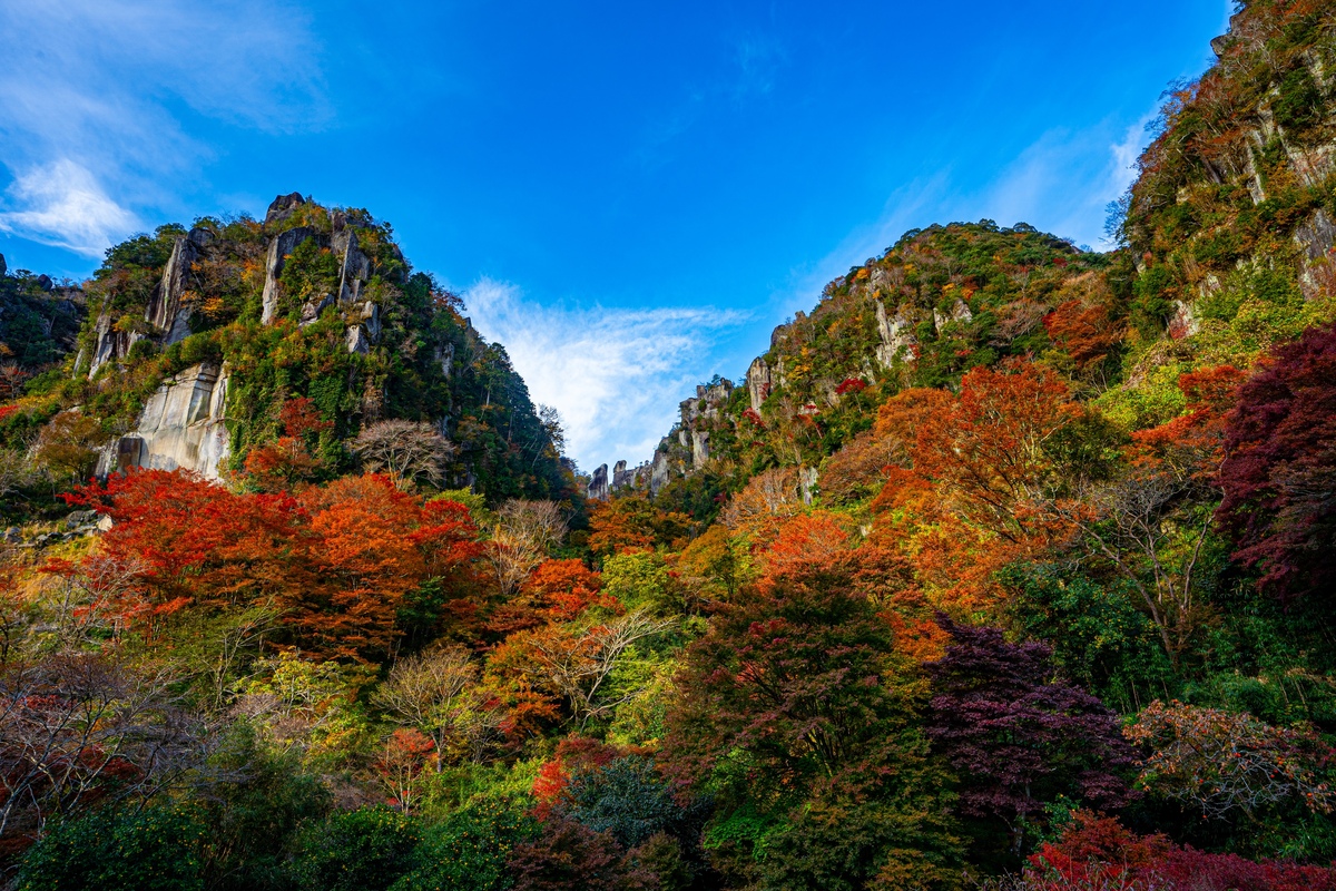 Yabakei (Oita): hẻm núi đá kỳ vĩ, mùa lá đỏ, Ao no Domon & cung đường lái xe tham quan