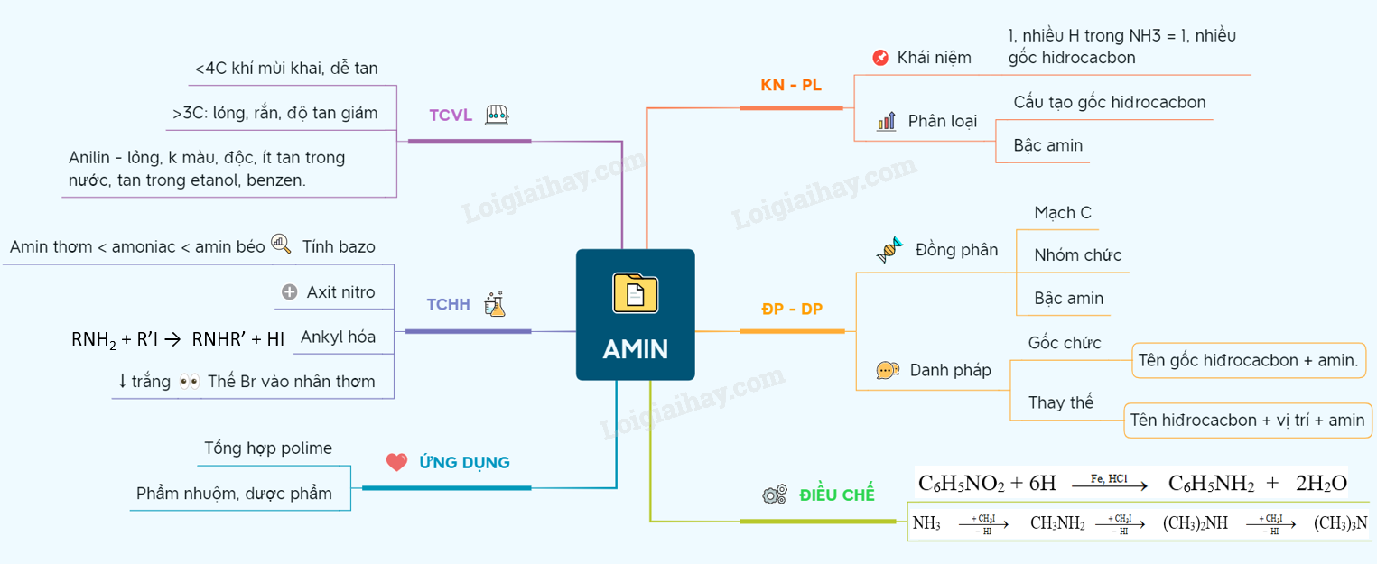 Lý thuyết về amin.</>