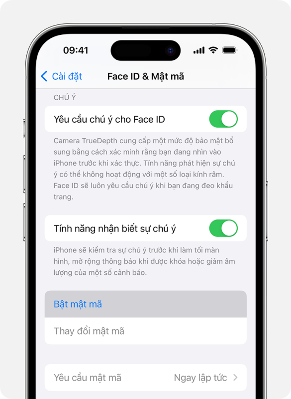 Sử dụng mật m&atilde; tr&ecirc;n iPhone, iPad hoặc iPod touch