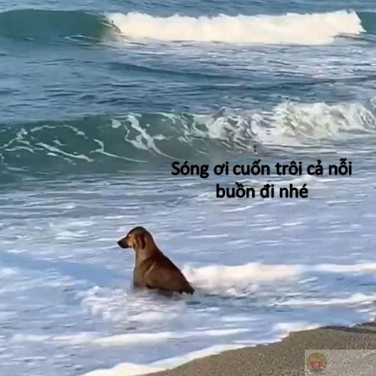 Ảnh meme buồn