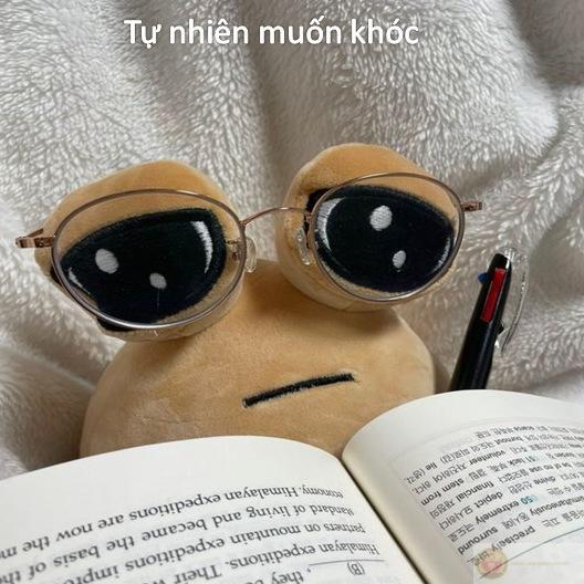 Meme bùn