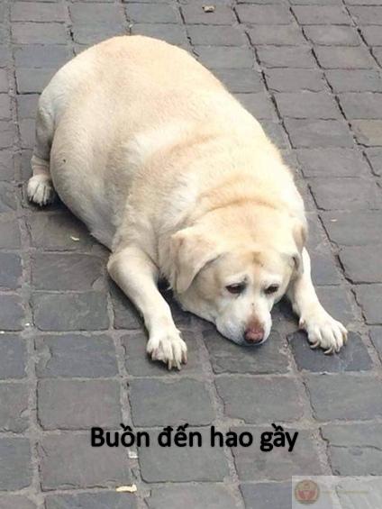 Mặt buồn meme