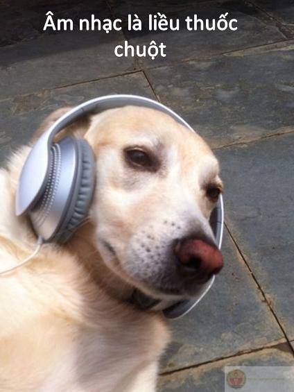 Meme mặt buồn