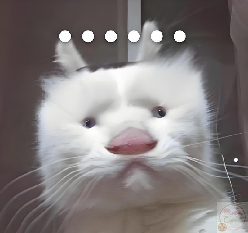 meme cạn lời 4