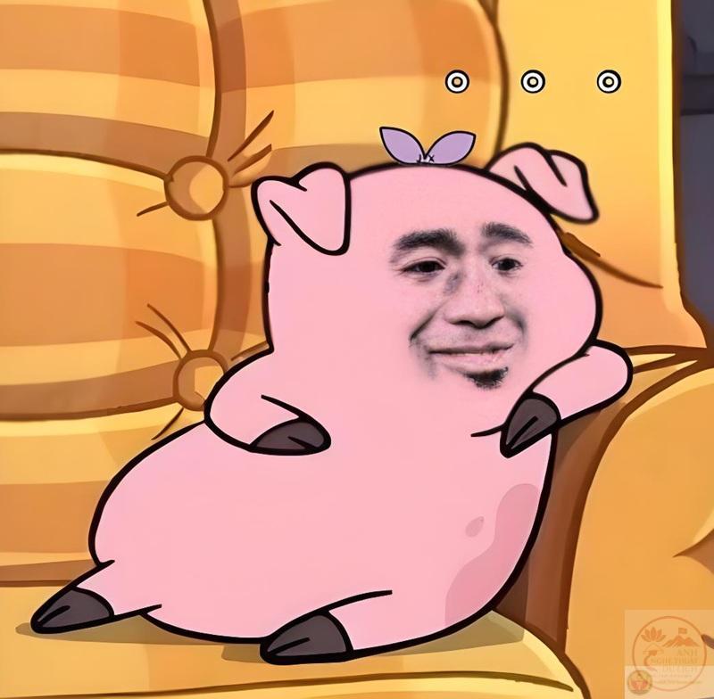 meme cạn lời 16