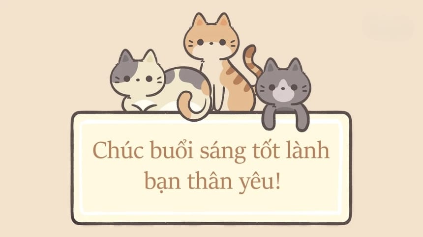 Đánh thức năng lượng ngày mới với tuyển tập meme chúc buổi sáng