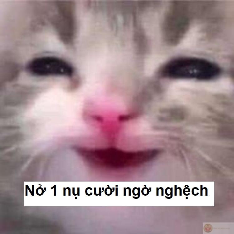 Mặt cười meme