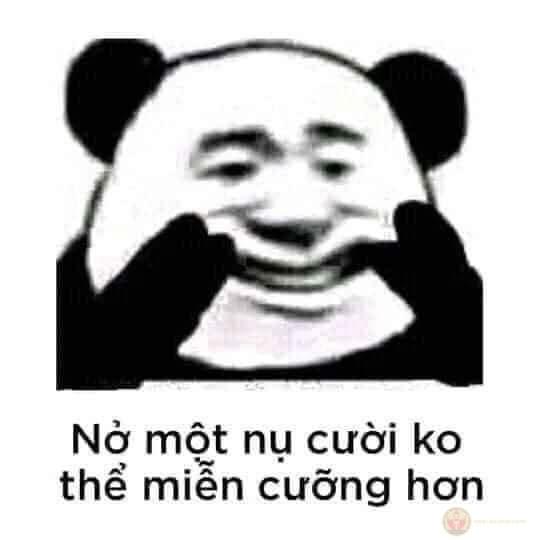 Người nghiêm túc cũng phải bật cười khi xem