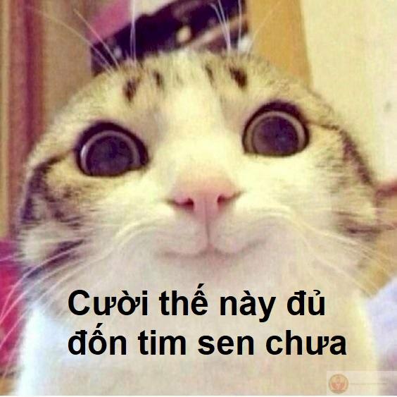 Meme cười mỉm