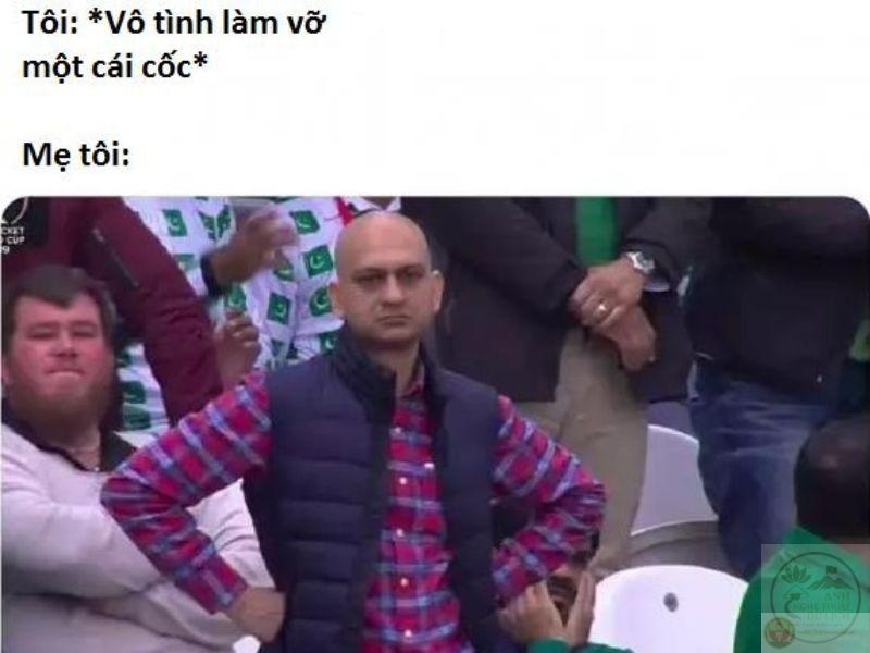 Tổng hợp 99+ đánh giá meme hot nhất mạng xã hội