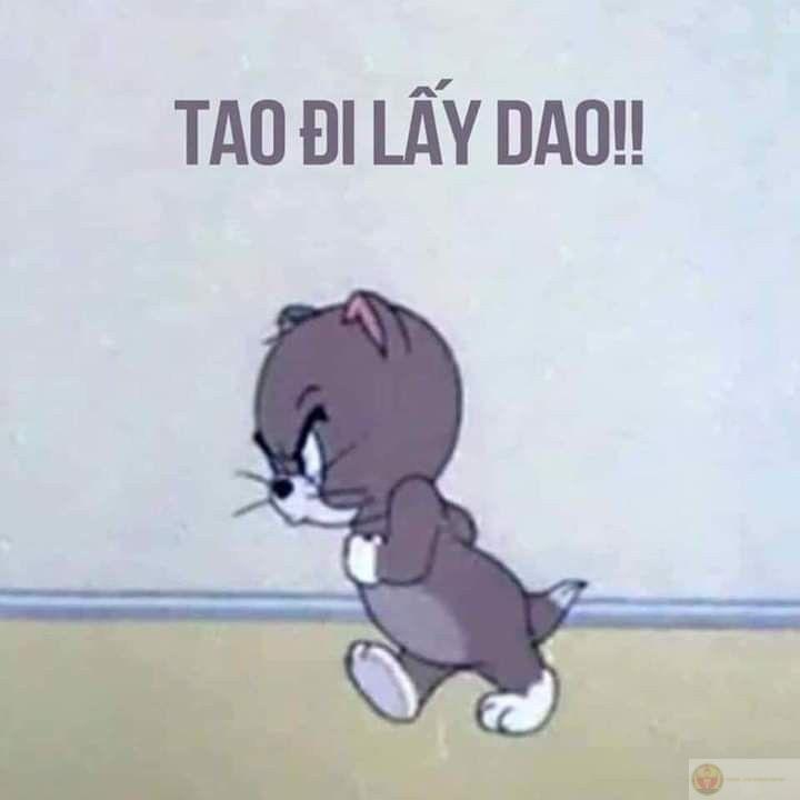 Tom không cần thắng, chỉ muốn được thấu hiểu