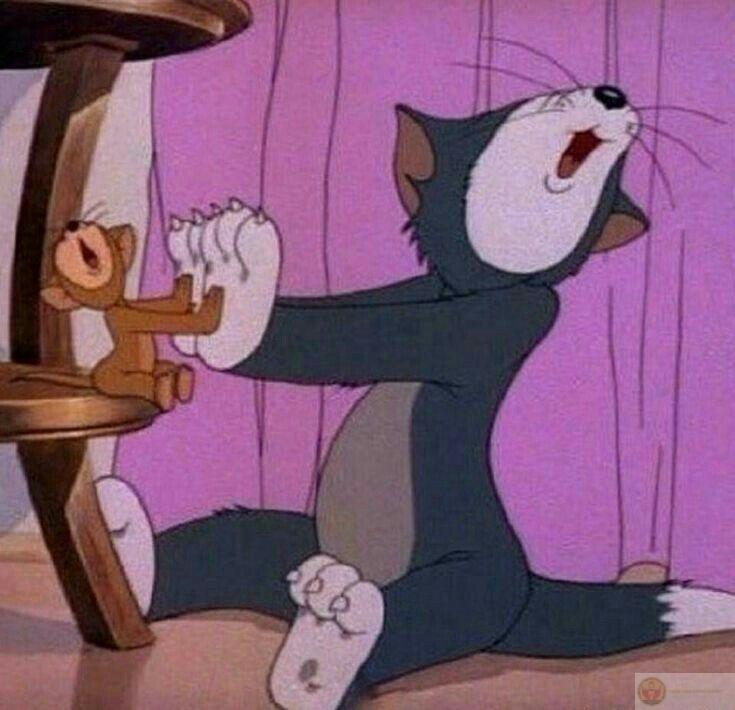 Tom và lòng kiên nhẫn đi cùng năm tháng