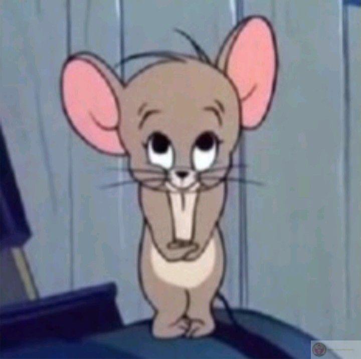Từng cái liếc mắt của Jerry cũng là một kế hoạch