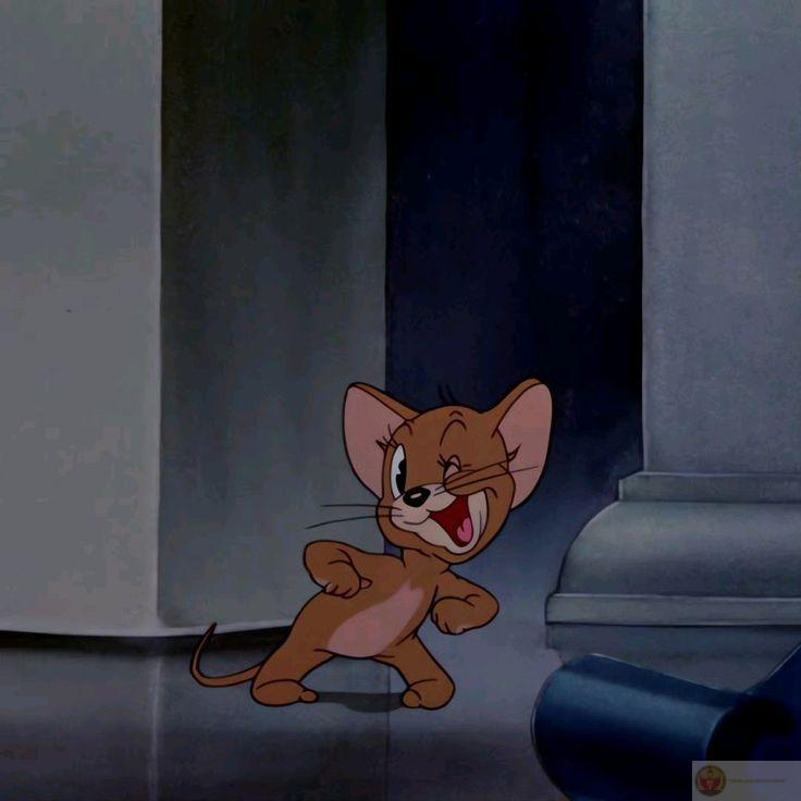 Chúng tôi không ghét nhau, chỉ thích đuổi nhau thôi