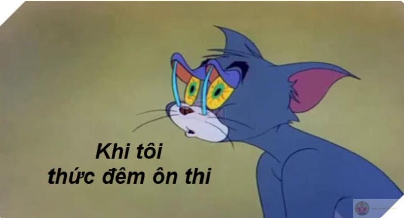 Mỗi lần xem là một lần thấy mình trong Tom