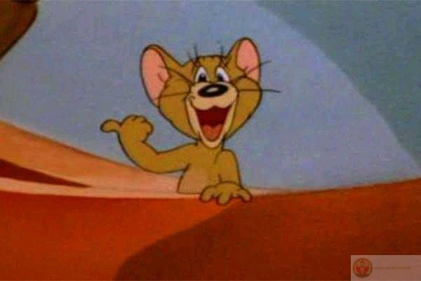 Jerry chỉ cần đứng đó, Tom tự làm khổ mình