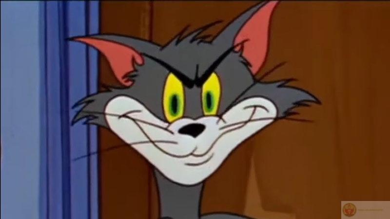 Jerry chỉ lấy một miếng, Tom thua luôn nửa đời