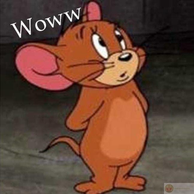 Tom và jerry meme