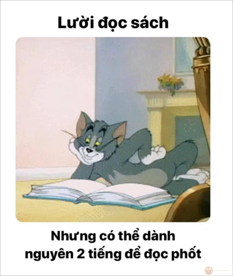 Tom & jerry meme