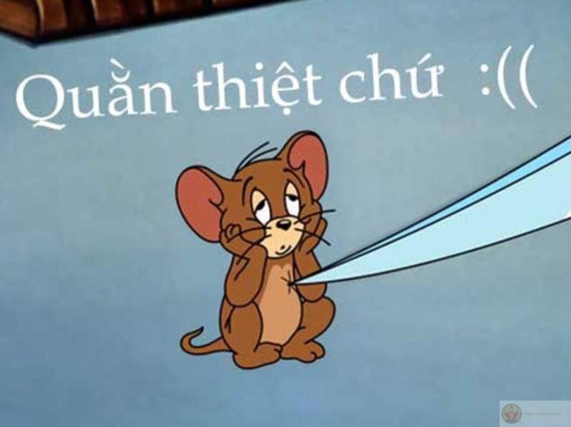 Meme jerry