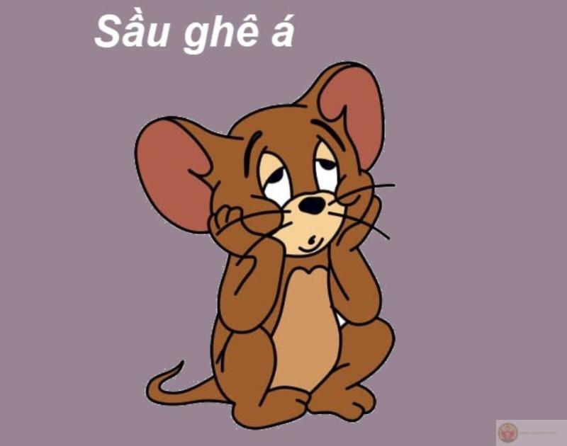 Ảnh jerry meme