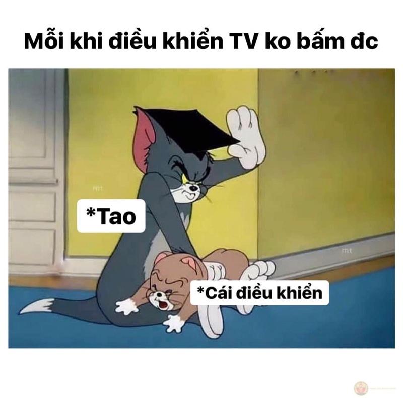Tao không bắt được Jerry, nhưng mày cũng không vui