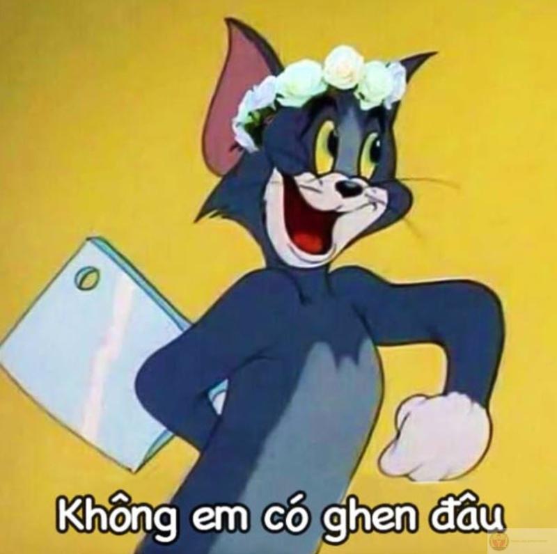 Gọi là tấu hài nhưng Tom đang rất thật lòng