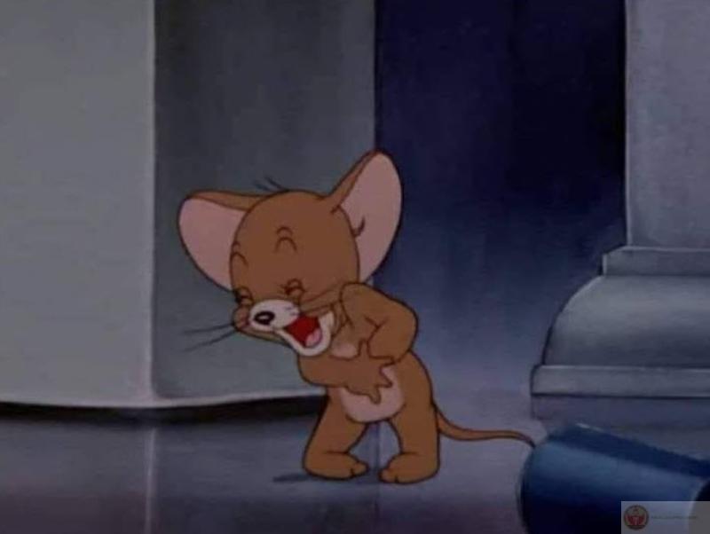 Meme chuột Jerry