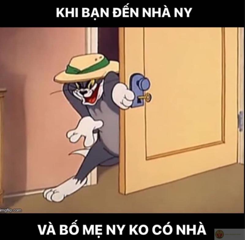 Mèo Tom meme