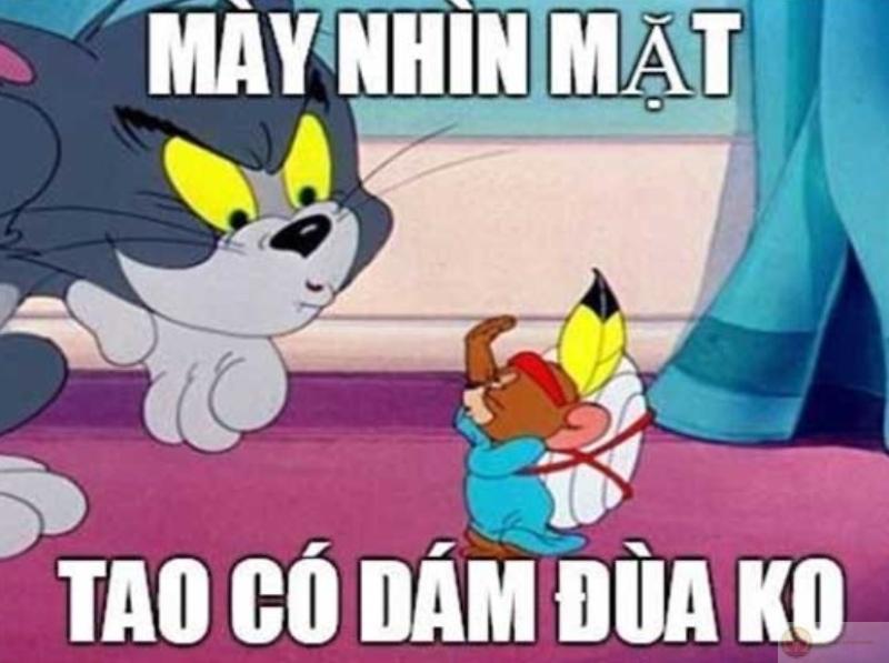 Tình yêu đôi lúc như Tom - quá nhiều hy vọng