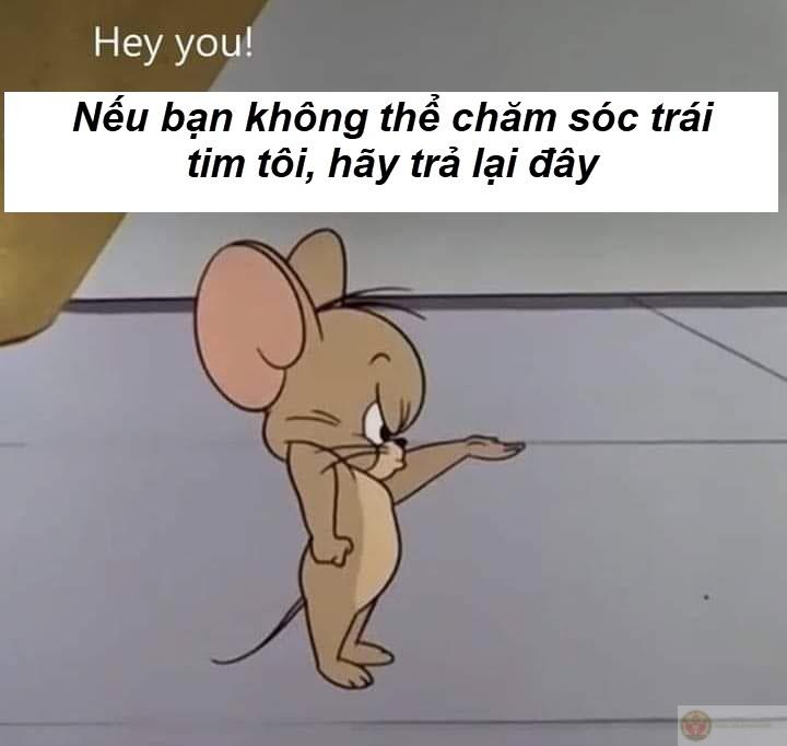 Lần này mày chết chắc rồi… rồi tao té