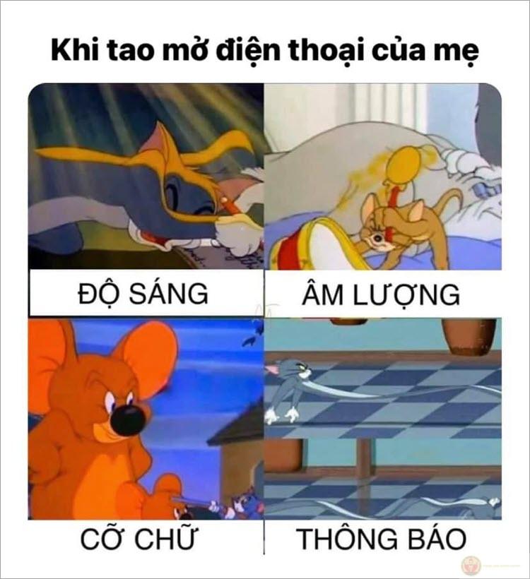 Jerry vô tri nhưng luôn thắng mọi trận