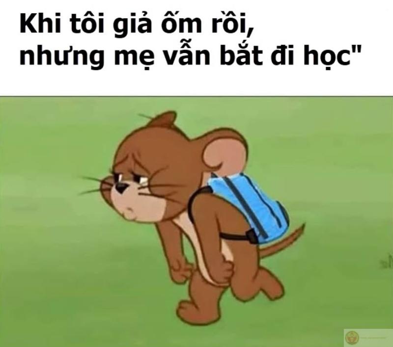 Chuột jerry meme