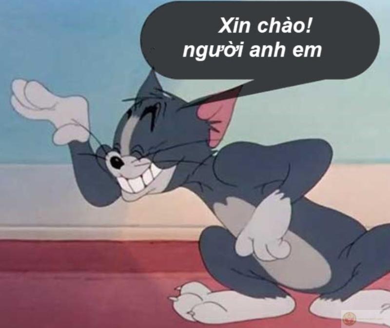 Tom meme