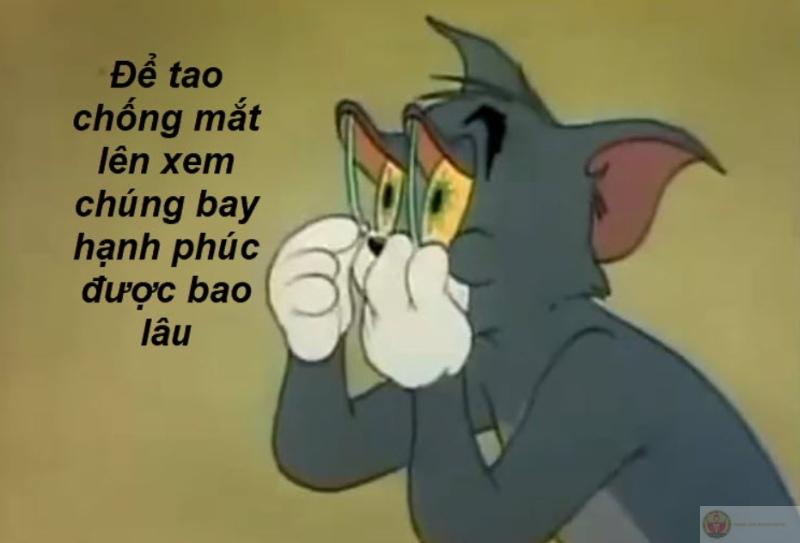 Jerry sống chill, còn Tom thì chịu hậu quả